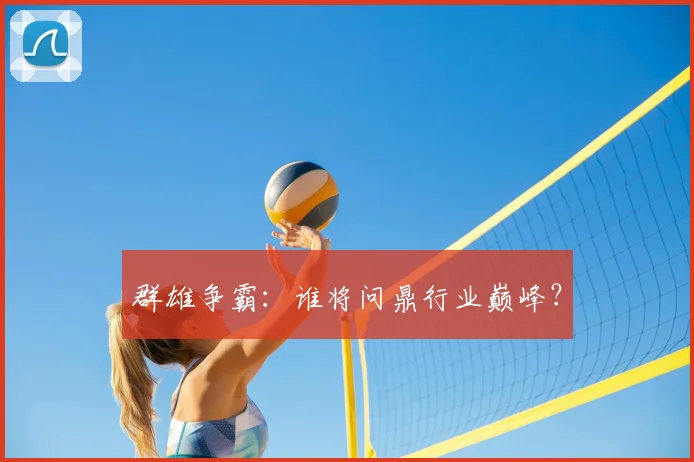 群雄争霸:谁将问鼎行业巅峰?