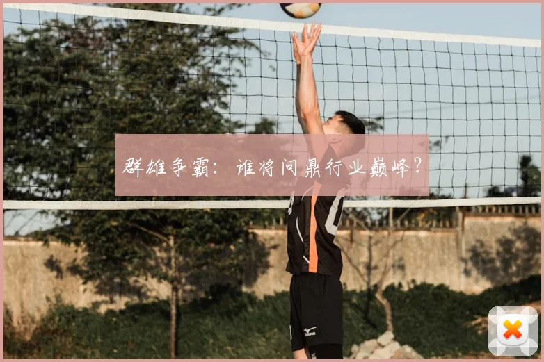 群雄争霸：谁将问鼎行业巅峰？
