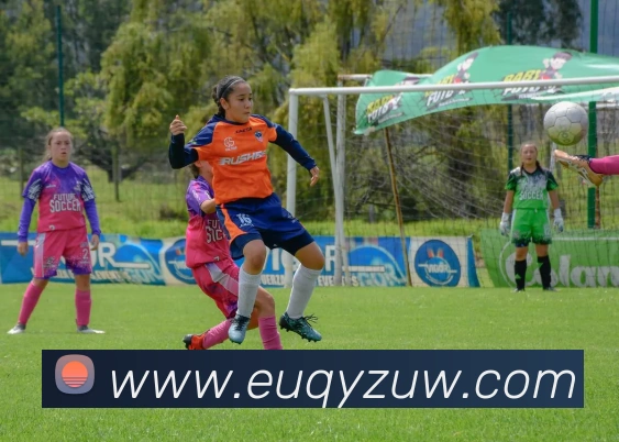 多终端兼容
